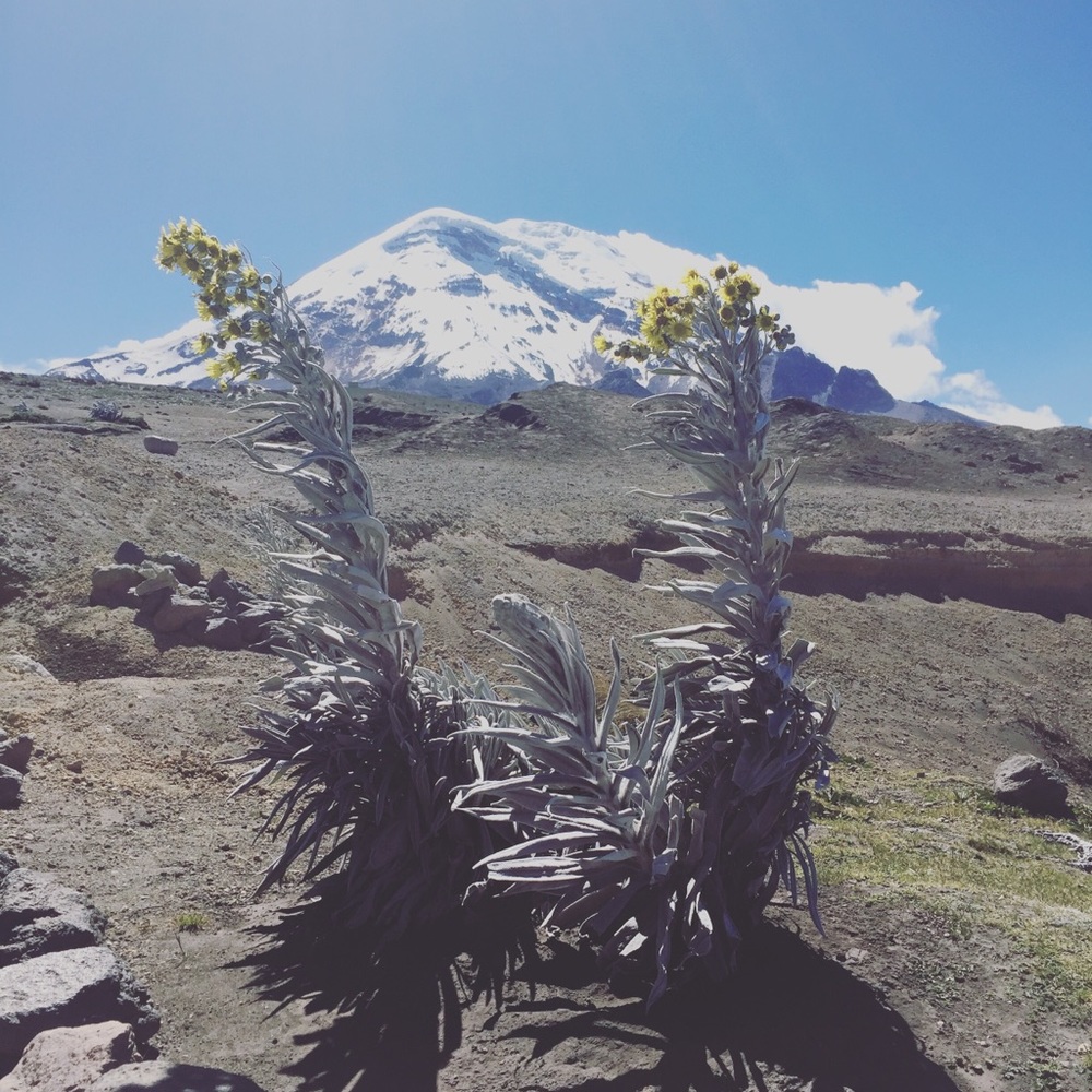 Meet your Posher, Stefanny